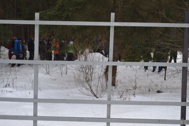 В Крюковском лесопарке Зеленограда начал работу вольерный комплекс «Дом лани» - фото 46