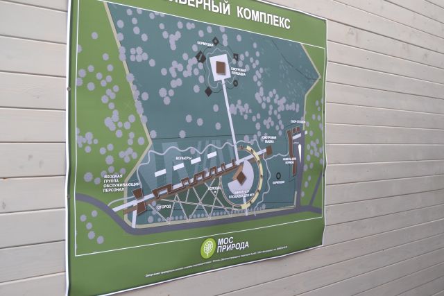 В Крюковском лесопарке Зеленограда начал работу вольерный комплекс «Дом лани» - фото 47