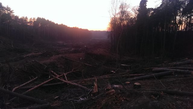 IMAG0684