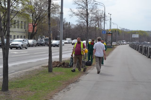 Озеленение набережных Москва-реки - фото 3