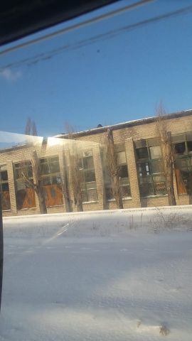 Корреспондент «ЭкоГрада» Боурие Милагрос сообщает о том, что в Первомайск доставлено 12.5 тонн муки  - фото 6