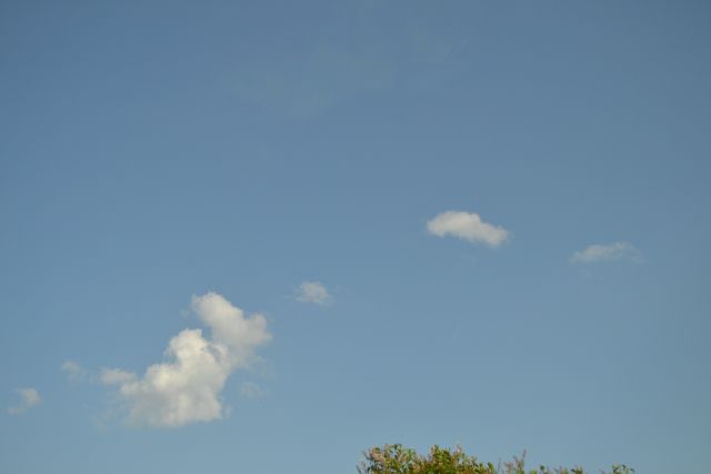 Мы видели как облака играли в пятнашки - фото 44