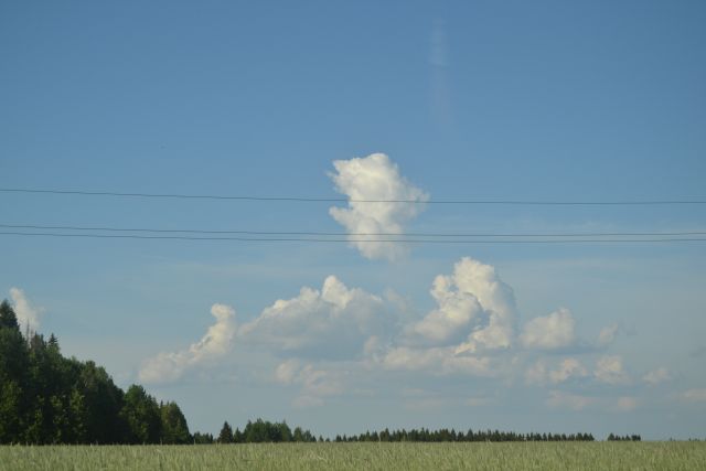 Мы видели как облака играли в пятнашки - фото 121