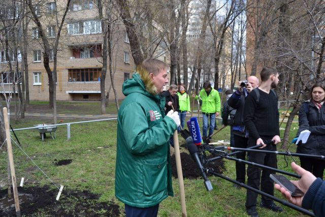 Миллион деревьев 2016. Старт в Москве и далее везде - фото 19