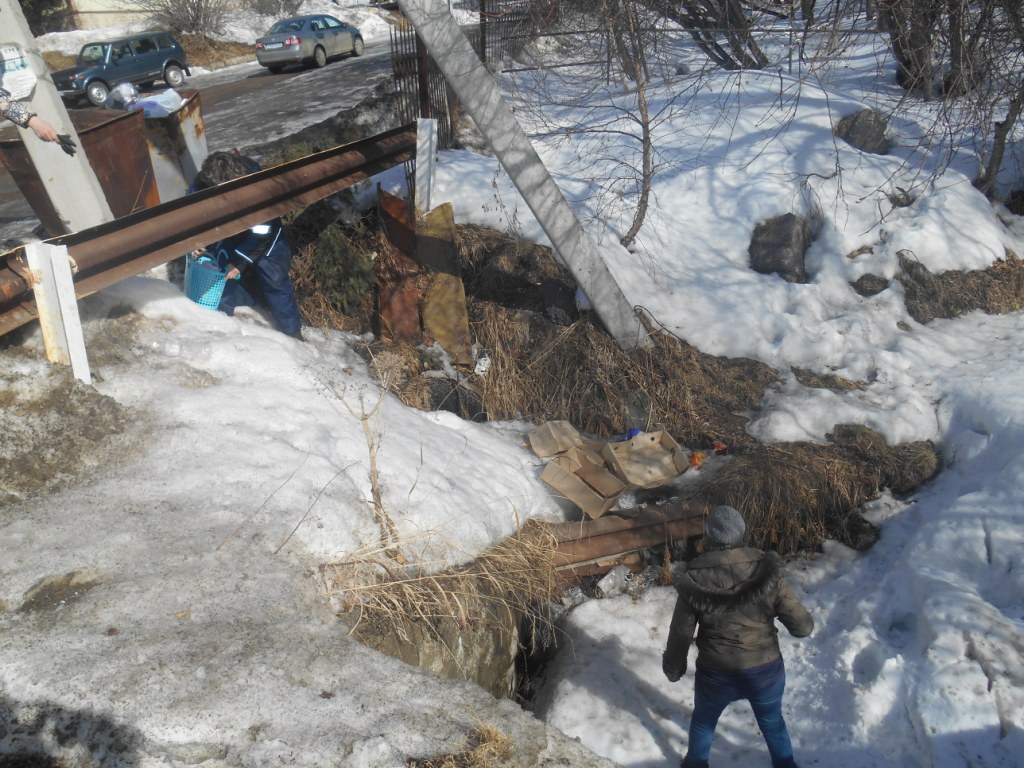  Первый совместный рейд в Листвянку.   ОНФ, РОСПРИРОДНАДЗОР, ЦЛАТИ, ЛИН СО РАН,  администация посёлка - фото 9