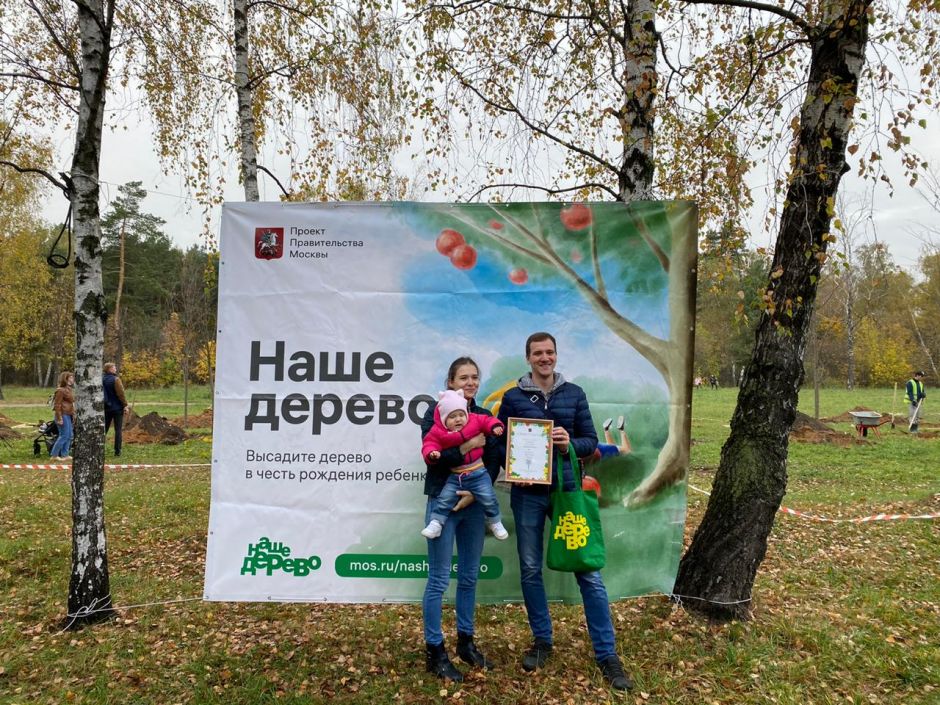 Проект наше дерево москва