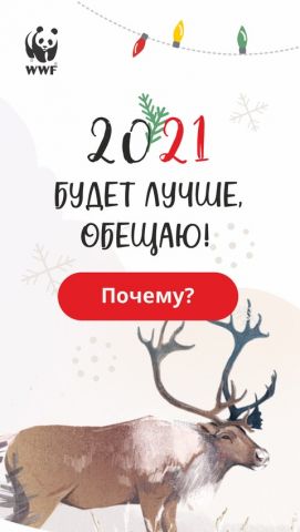 Звезды пообещали стать лучше в 2021 году, чтобы защитить дикого северного оленя - фото 1