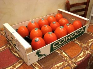 1430847257 yaschik-hurmy