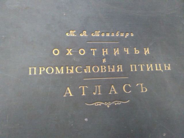Сергей Донской, Зоя Зотова,"ЭкоГрад" и всероссийская акция «День экологических знаний»   - фото 6