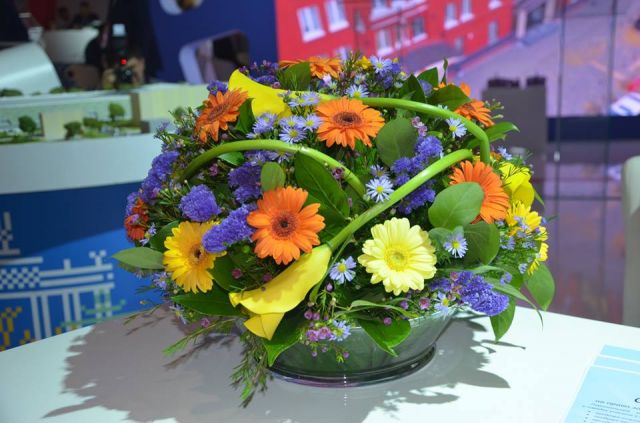 Экоградские встречи на полях Урбан форума 2017, Вера Шастина - фото 6