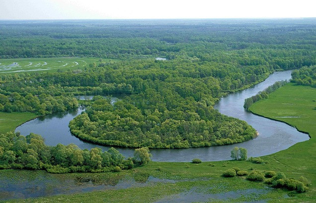 База знаний от WWF поможет россиянам защитить их экологические права - фото 1