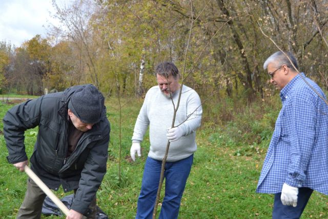 Посадка деревьев "в карантинном формате" пройдет в субботу в Подмосковье Головная акция стартует в субботу в 11:00 на биостанции "Маринино" в Дмитровском районе - фото 1