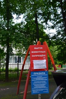 Министерство экологии и природопользования Московской области: всероссийская программа «Деревья – памятники живой природы» отмечает 10-летний юбилей - фото 3
