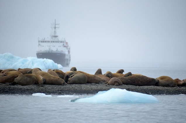 В Арктике запрещают использовать флотский мазут - фото 2