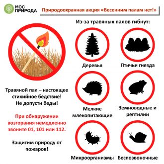 День пожарной охраны России отмечают 30 апреля. МЧС, "Мосприрода"Обзор "ЭкоГрада" - фото 2