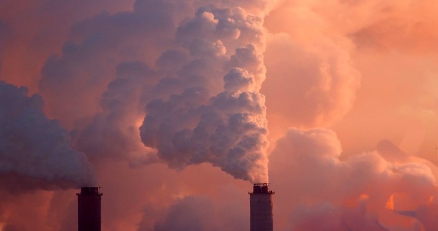 WWF России обратился к Правительству РФ с предложением по выходу из кризиса - фото 2