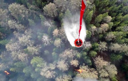 Регионы упражняются в приеме нагнетания на болезненной теме лесных пожаров. Обзор "ЭкоГрада" - фото 1