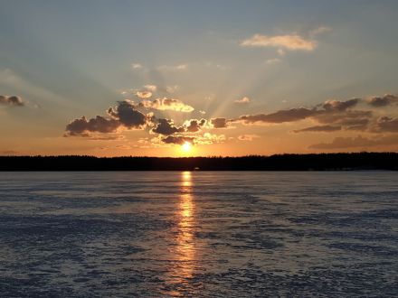 Подмосковные активисты ОНФ предлагают установить охранную зону памятника природы «Озеро Бисерово» - фото 2