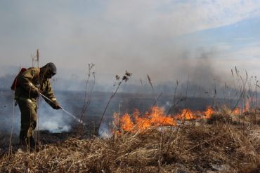 День пожарной охраны России отмечают 30 апреля. МЧС, "Мосприрода"Обзор "ЭкоГрада" - фото 7