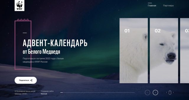 WWF России предоставил он-лайн адвент-календарь в защиту белого медведя - фото 3