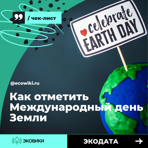 Как отметить Международный день Земли: чек-лист от Ecowiki.ru - фото 3
