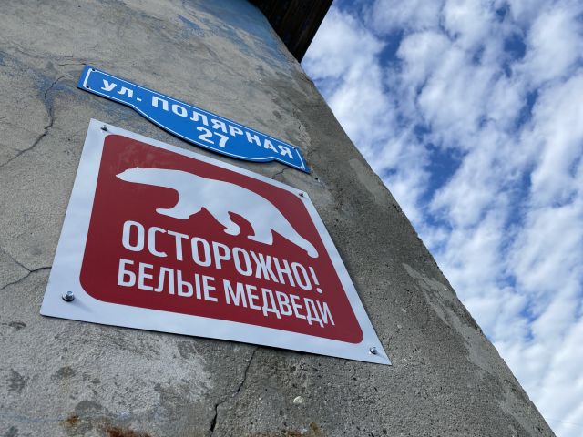 Пресс-конференция WWF России: новогодняя благотворительность и итоги работы в Арктике в 2021 году - фото 2