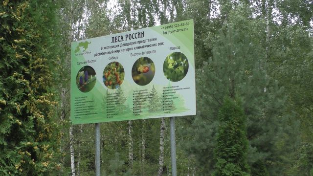 Экотропа "Леса России". Лосиноостровскому парку 39 лет - фото 2