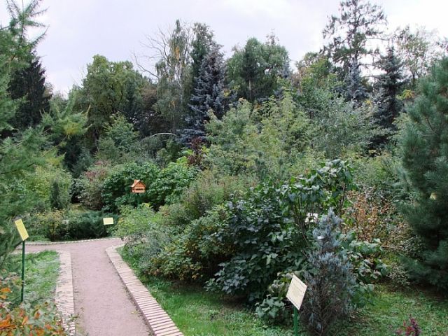 ГПБУ «Мосприрода» показала «ЭкоГраду» Дендросад в парке «Кузьминки-Люблино» - фото 5