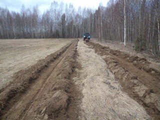 Противопожарное обустройство лесов в Ярославской области - фото 1