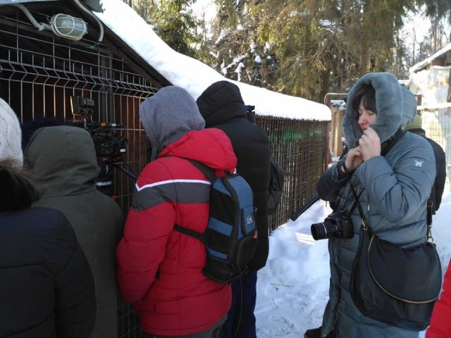 "ЭкоГрад": Центр передержки диких животных пополнился новыми постояльцами - фото 4