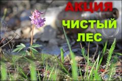 image-m3id4241
