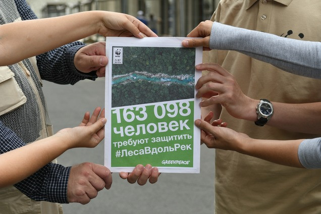 163 000 россиян попросили Владимира Путина сохранить прибрежные леса. Greenpeace и WWF передали их подписи в администрацию президента - фото 1