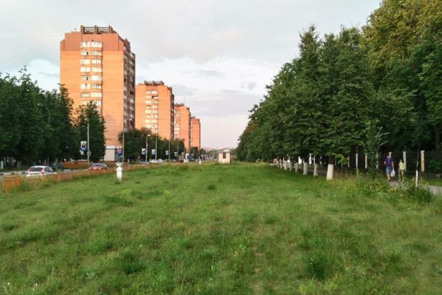 Социально-экологическое движение "Олень"  зовет на слушания  - фото 1
