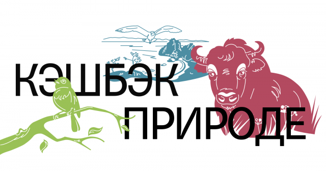 Тинькофф и WWF России привезут новых зубров в Россию, чтобы увеличить их популяцию в стране - фото 2