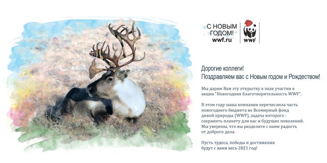 WWF России представляет «Подарки со смыслом» — устойчивое решение для корпоративных сувениров - фото 3