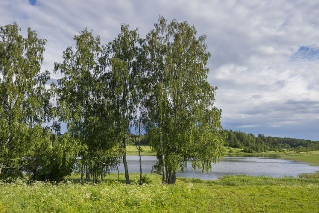 Экодолг платежом красен – как мы можем вернуть планете взятые в кредит ресурсы - фото 6