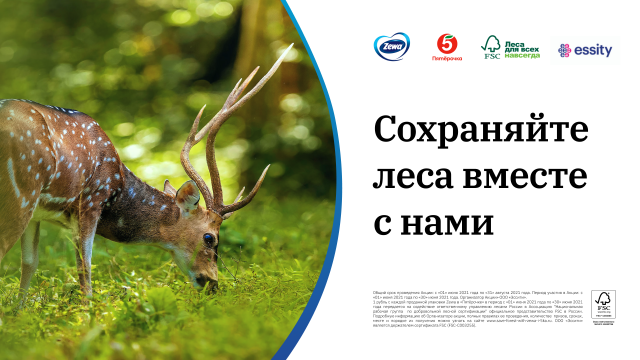 FSC России, бренд Zewa и «Пятёрочка» запускают совместный онлайн-тест о важности эко-маркировок - фото 2