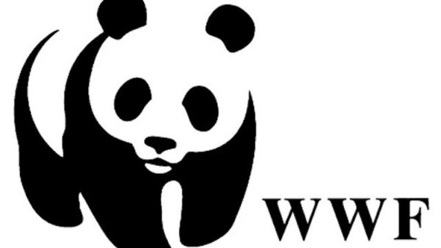 Техника WWF России помогла защитить от огня бизонов Якутии - фото 1