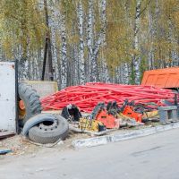 Два котенка родились в центре восстановления леопарда - фото 1