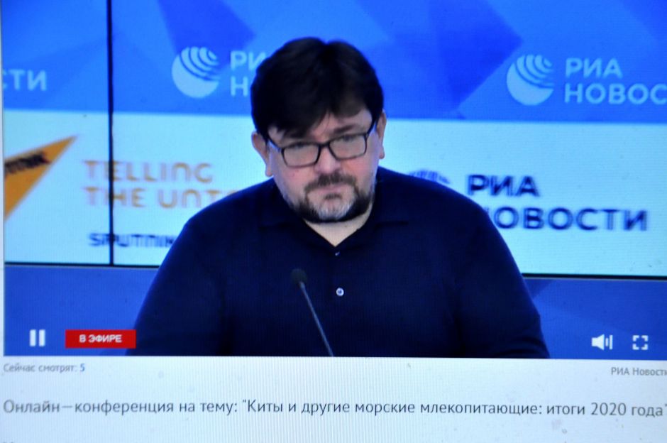Киты и другие морские млекопитающие: итоги 2020 года - фото 2