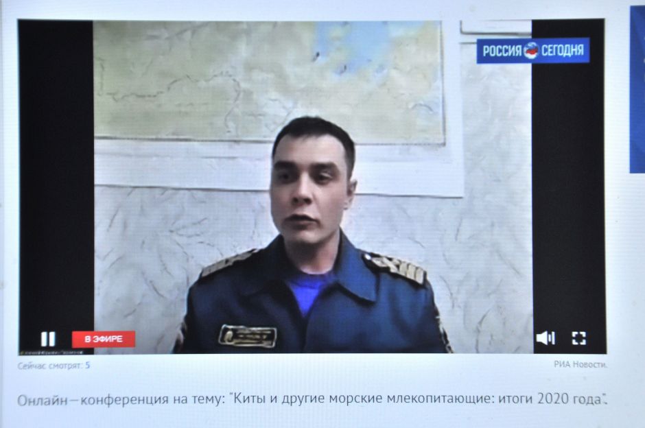 Киты и другие морские млекопитающие: итоги 2020 года - фото 6