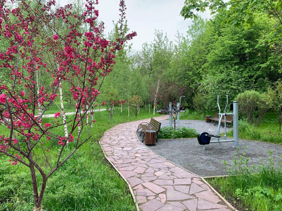 "Сады здоровья" могут появиться почти во всех природных зонах Москвы - фото 1