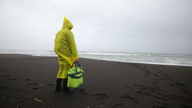 В РАН считают токсичные водоросли причиной загрязнения на Камчатке - фото 1