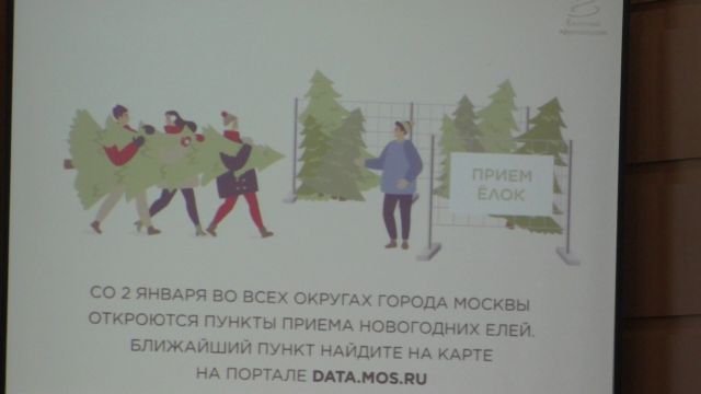 Более 500 пунктов для сдачи новогодних елок организуют в Москве в 2021 году - фото 7