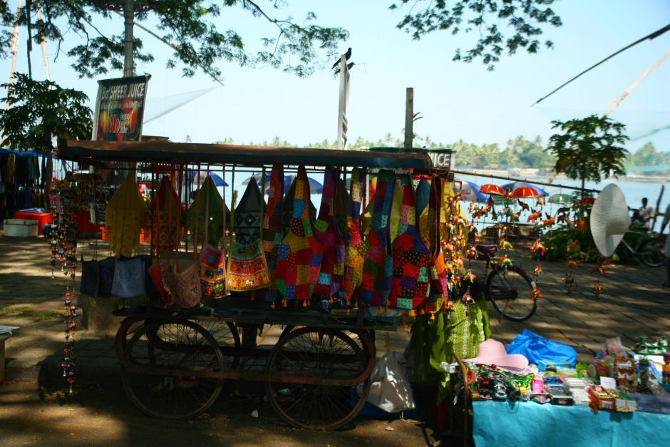 Керала, страна Богов. Индийское окно в мир Василия Климова - фото 7