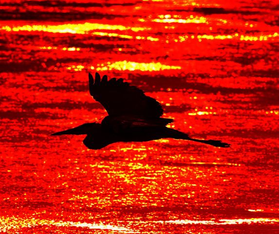 Рапсодия восхода на острове Бирючий. Окна в мир Василия Климова - фото 5