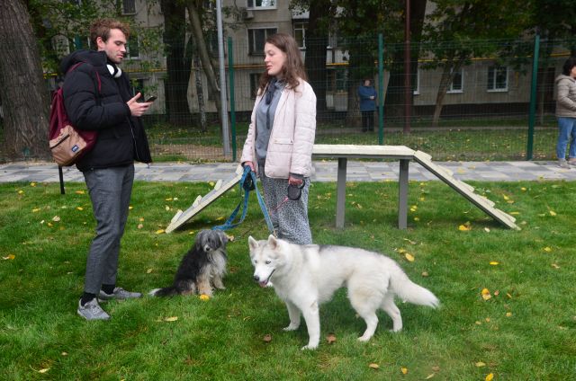В Москве открылись инновационные площадки для выгула собак  - фото 7