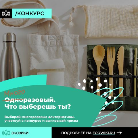 Россиянам предлагают присоединиться к челленджу «Июль без пластика» - фото 3