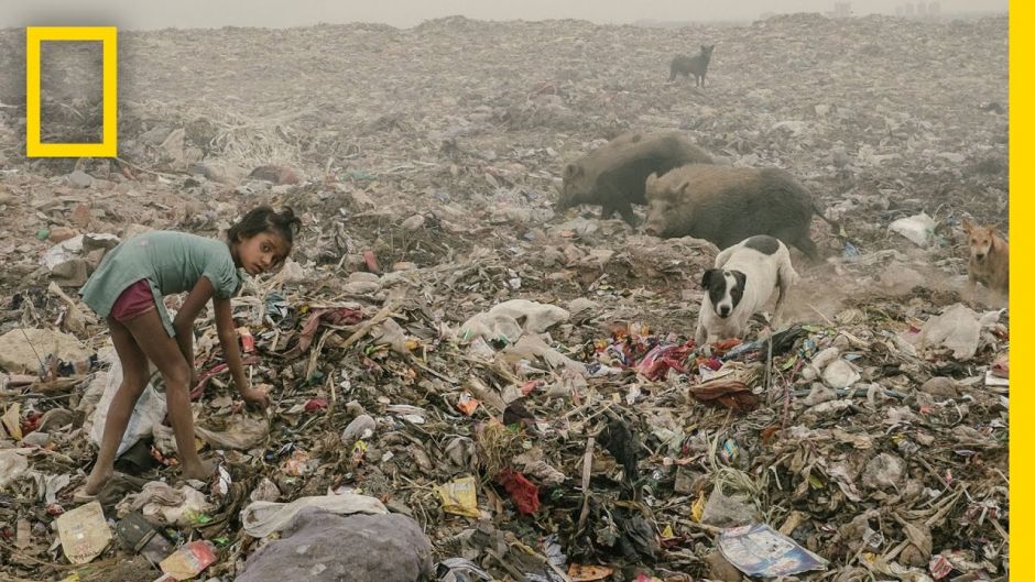 Россия без мусора: ВООП и National Geographic Россия занялись экопросвещением страны - фото 5