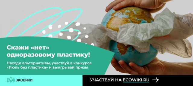 Россиянам предлагают присоединиться к челленджу «Июль без пластика» - фото 4